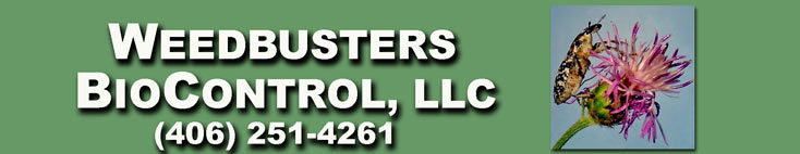 Weedbusters Biocontrol LLC